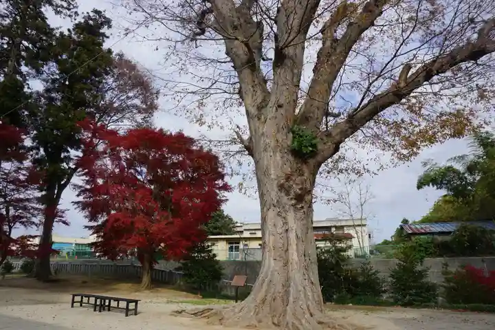 素鵞神社の自然