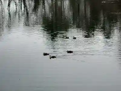 射水神社の周辺