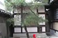 地蔵院(京都府)