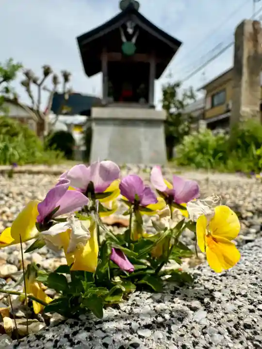 大松禅寺(京都府)
