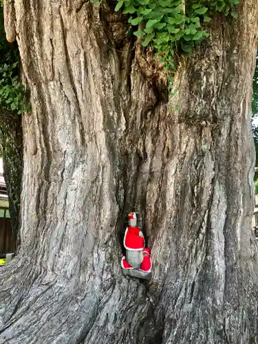 飛騨国分寺(岐阜県)
