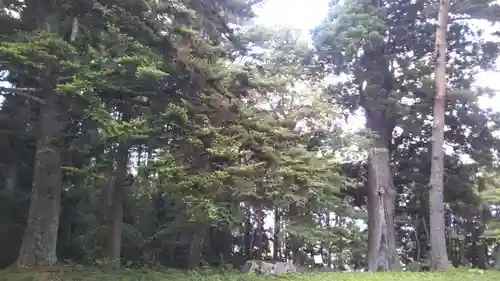 秋葉神社の自然