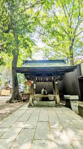 調神社の手水