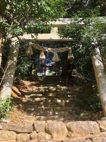 素盞嗚神社の鳥居