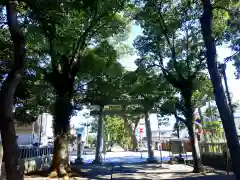 御穂神社の鳥居