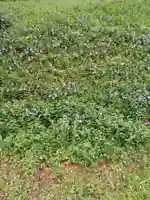 白狐山光星寺(山形県)