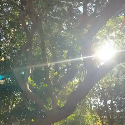 鹿島神社(和歌山県)