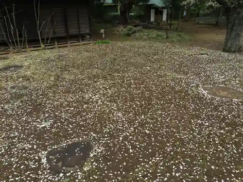 竜角寺のその他建物