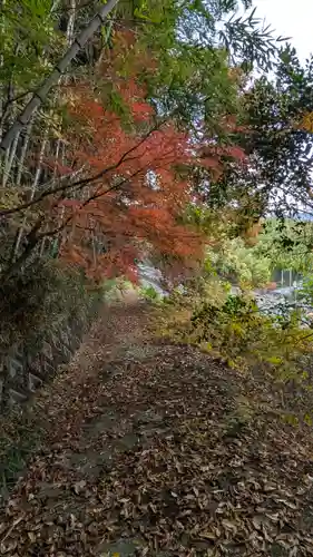 上花山旭稲荷神社(京都府)