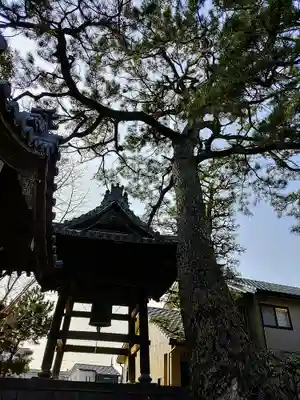 明専寺の自然