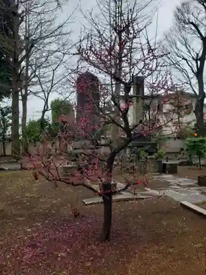 妙法寺(東京都)