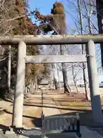 大宮神社(茨城県)