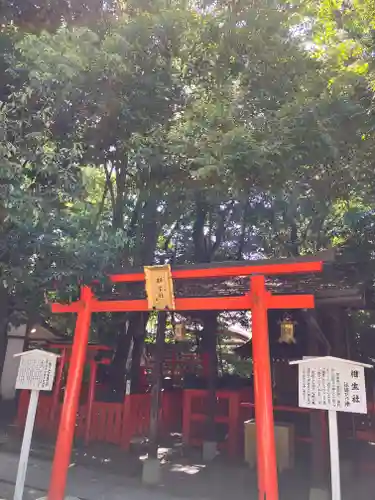 賀茂御祖神社（下鴨神社）(京都府)