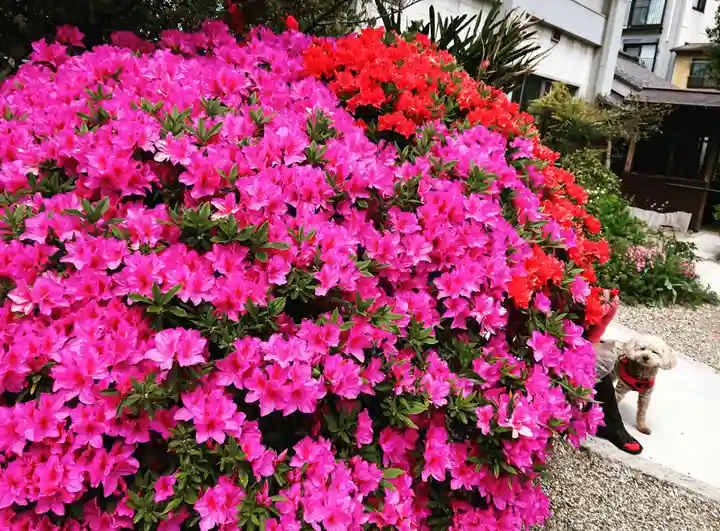 三輪神社の自然