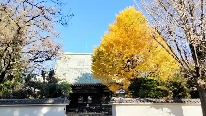 圓蔵寺(埼玉県)