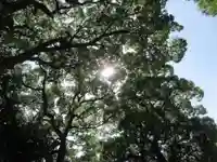 星川杉山神社(神奈川県)