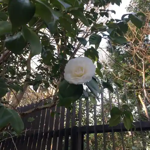 靖國神社の自然