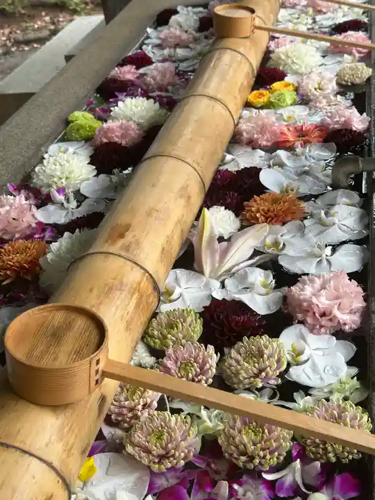 群馬県護国神社(群馬県)