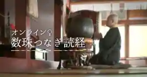 金龍寺の体験その他 2020年04月19日(日)〜(2020年04月16日(木) 14時05分07秒投稿)