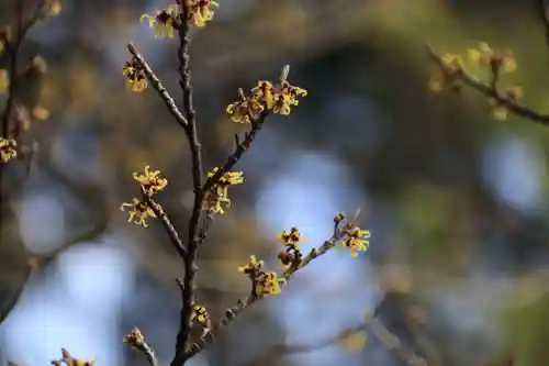 豊景神社の自然