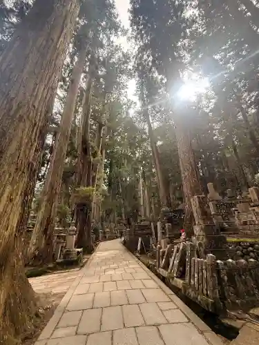 高野山金剛峯寺奥の院の{uncategorized: "未分類", other: "その他", undefined: "問題あり", building: "その他建物", grave: "お墓", sacred_gate: "鳥居", guardian: "狛犬", statue: "像", buddha: "仏像", history: "歴史", nature: "自然", garden: "庭園", animal: "動物", pagoda: "塔", temizu: "手水舎", mountain_gate: "山門・神門", sanctuary: "本殿・本堂", subordinate: "末社・摂社", art: "芸術", scenery: "景色", jizo: "地蔵", ema: "絵馬", goshuin: "御朱印", omikuji: "おみくじ", items: "授与品その他", amulet: "お守り", goshuincho: "御朱印帳", eats: "食事", festival: "お祭り", votive_dance: "神楽", shichigosan: "七五三参", wedding: "結婚式", experience: "体験その他", initially: "初詣", around: "周辺", anti_infection: "感染症対策"}