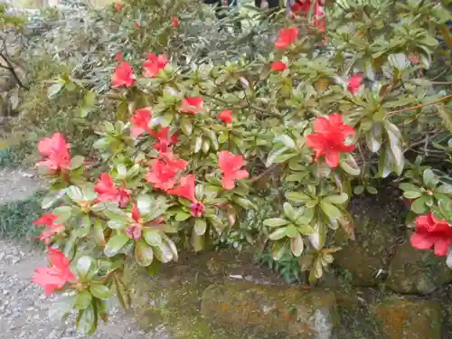 海蔵寺の庭園