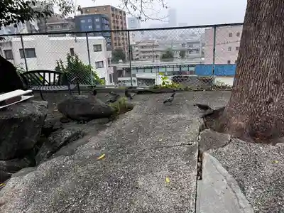 （芝生）浅間神社(神奈川県)