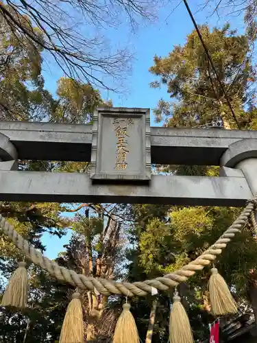 開運招福 飯玉神社(群馬県)