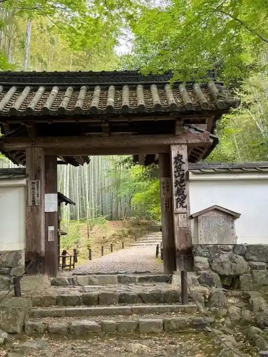 地蔵院(京都府)