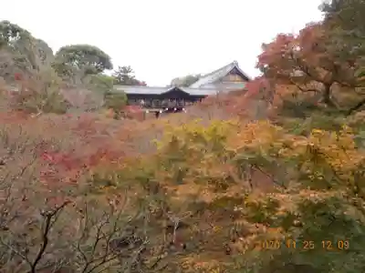 東福禅寺(東福寺)のその他建物