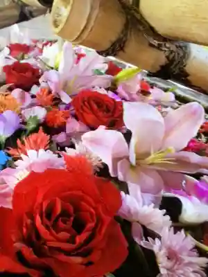 鳩森八幡神社の手水舎