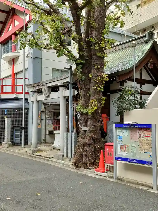 大井蔵王権現神社(東京都)