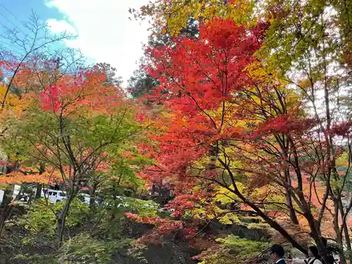 小國神社(静岡県)