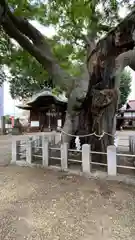 阿邪訶根神社(福島県)