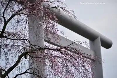 櫻木神社(千葉県)