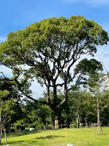 牛嶋神社の自然