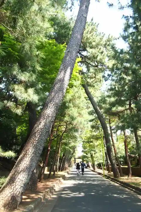 豪徳寺(東京都)