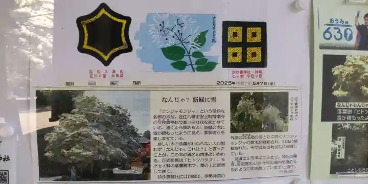 沙沙貴神社(滋賀県)