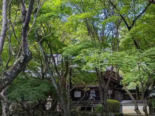 勝持寺（花の寺）(京都府)