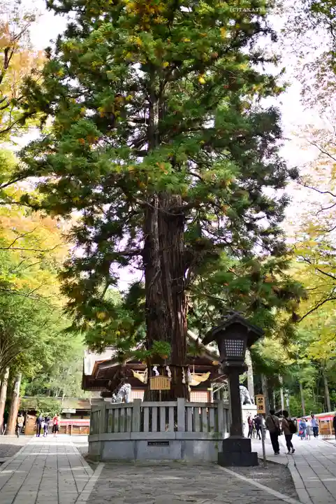 諏訪大社下社秋宮(長野県)