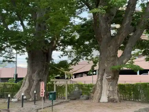 熊野神社(山形県)