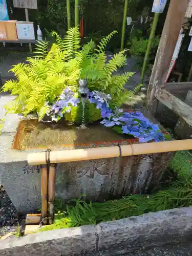 出雲大神宮の手水舎