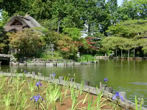 梅宮大社の庭園