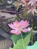 梅香寺(三重県)