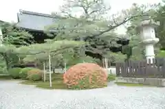 廣隆寺の庭園