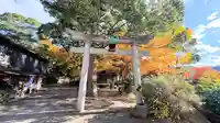 山崎神社(京都府)