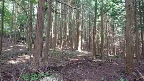 富士山東口本宮 冨士浅間神社の自然
