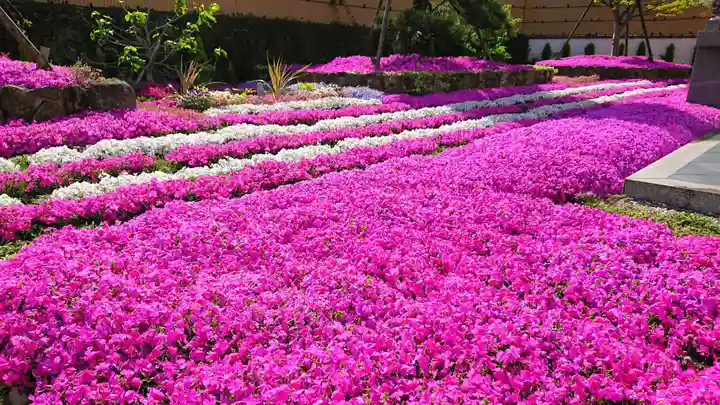 寿量山 速成寺の庭園