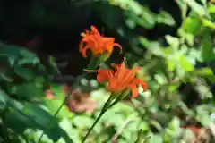 隠津島神社の庭園