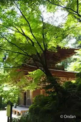 金剛輪寺(滋賀県)